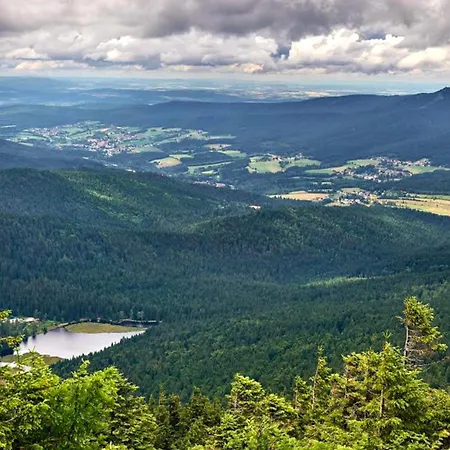 Lovely In Bodenmais, Near The Bavarian Forest Apartment *