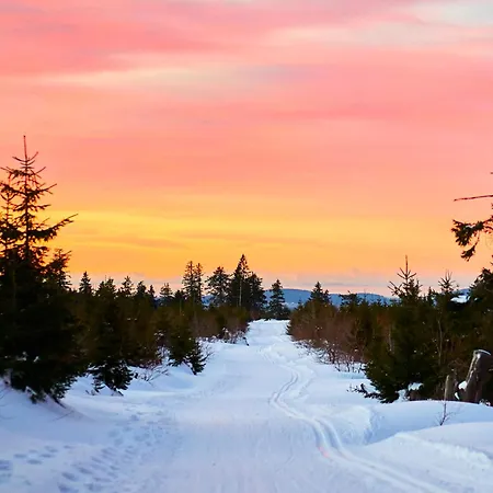 Διαμέρισμα Bavarian Forest Apartment Stay Bodenmais