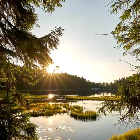 Lovely In Bodenmais, Near The Bavarian Forest