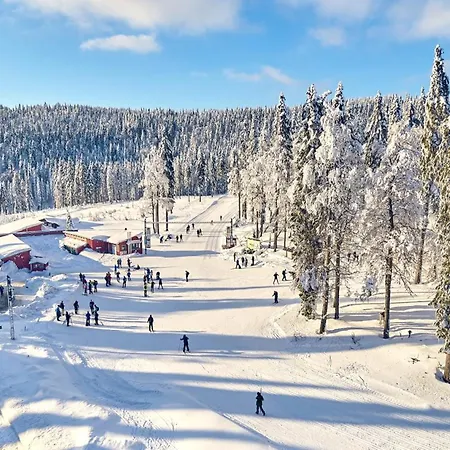 Lovely In Bodenmais, Near The Bavarian Forest Apartment