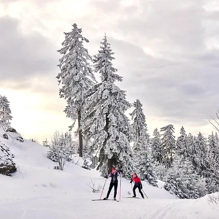 Διαμέρισμα Bavarian Forest Apartment Stay Bodenmais