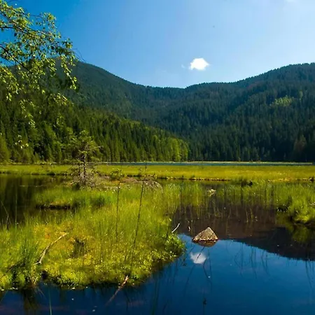 Bavarian Forest Apartment Stay Bodenmais