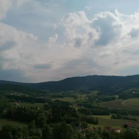 Bavarian Forest Apartment Stay アパート *