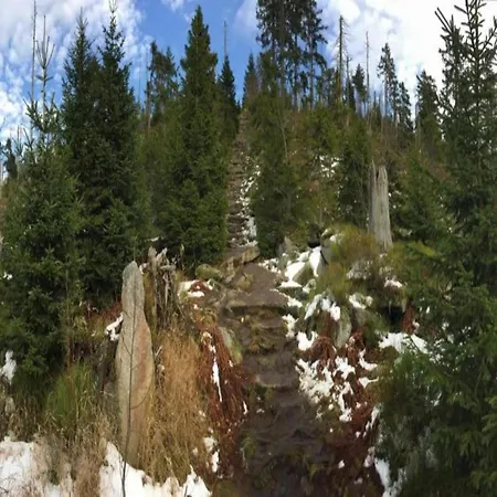 Lovely In Bodenmais, Near The Bavarian Forest Apartment
